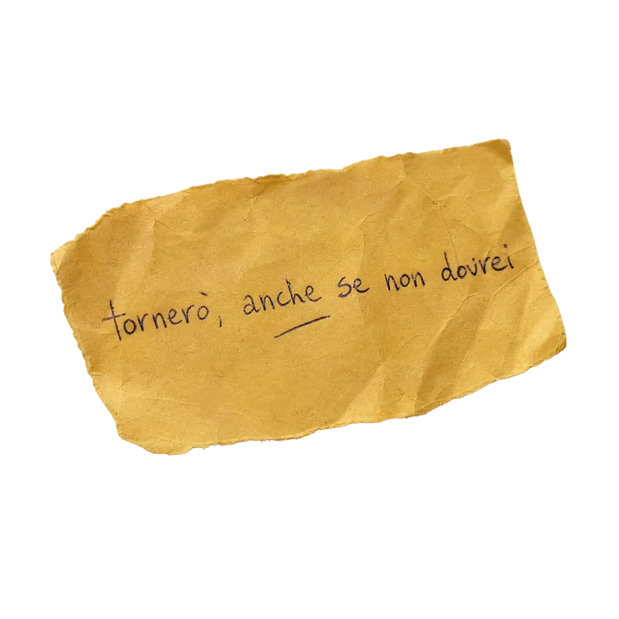 Tornerò, anche se non dovrei